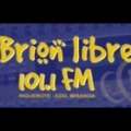RC Brion Libre - ONLINE